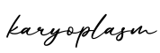 单词karyoplasm书写