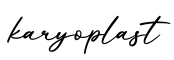 单词karyoplast书写