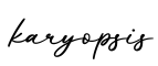 单词karyopsis书写