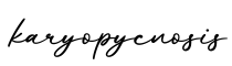 单词karyopycnosis书写