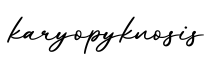 单词karyopyknosis书写