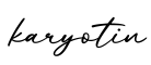 单词karyotin书写