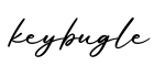单词keybugle书写