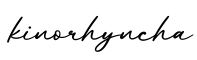 单词kinorhyncha书写