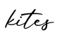 单词kites书写