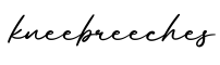 单词kneebreeches书写
