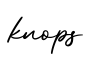单词knops书写