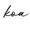 单词koa书写