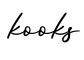 单词kooks书写