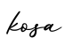 单词kosa书写