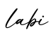 单词labi书写