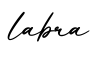 单词labra书写