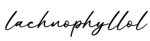单词lachnophyllol书写