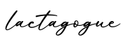 单词lactagogue书写