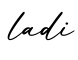 单词ladi书写