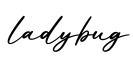 单词ladybug书写