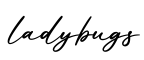 单词ladybugs书写