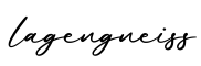 单词lagengneiss书写