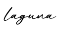 单词laguna书写