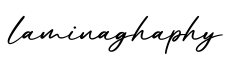 单词laminaghaphy书写