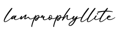 单词lamprophyllite书写