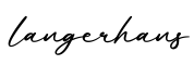 单词langerhans书写