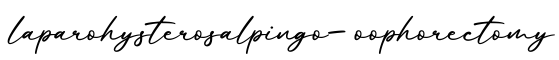 单词laparohysterosalpingo-oophorectomy书写