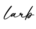 单词larb书写
