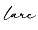 单词larc书写