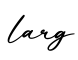 单词larg书写