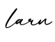 单词larn书写