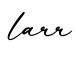 单词larr书写