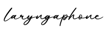 单词laryngaphone书写