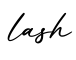 单词lash书写