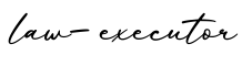 单词law-executor书写