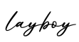 单词layboy书写