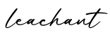 单词leachant书写