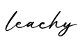 单词leachy书写