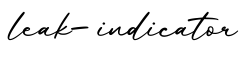单词leak-indicator书写