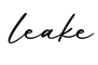 单词leake书写