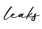 单词leaks书写