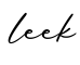 单词leek书写