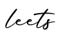 单词leets书写