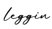 单词leggin书写