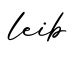 单词leib书写