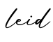 单词leid书写