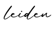 单词leiden书写