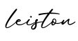 单词leiston书写