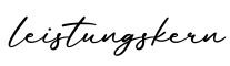 单词leistungskern书写