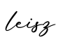 单词leisz书写